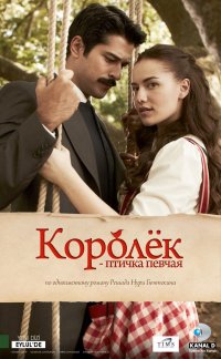 Сериал Королек - птичка певчая (1 сезон: 1-30 серии из 30) / 2013