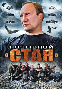 Сериал Позывной "Стая" (2013)