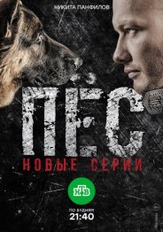 Новогодний пес 1 - 2 серия